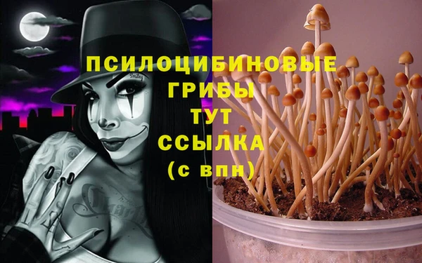 прущая мука Абаза