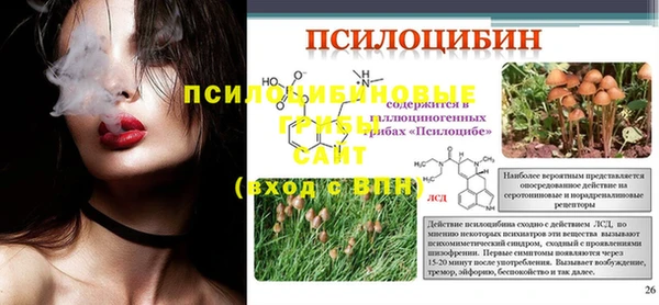 прущая мука Абаза