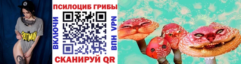 магазин    Юрга  мориарти Telegram  Псилоцибиновые грибы Magic Shrooms 